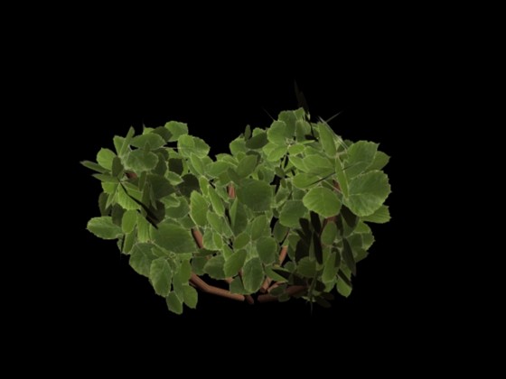 3D Graphics: Low Poly 3D Models