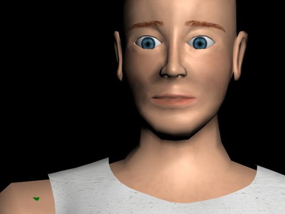 3D Graphics: Low Poly 3D Models